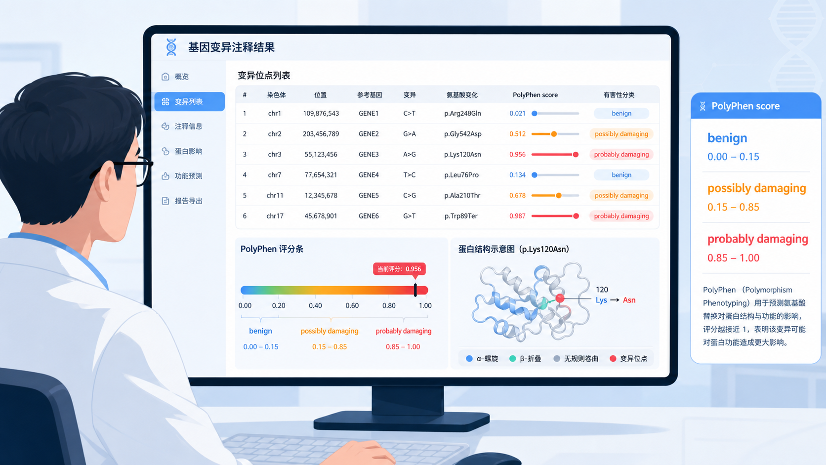 科研人员在电脑前查看基因变异注释结果，旁边展示蛋白结构示意图、PolyPhen评分和有害性分类标签。