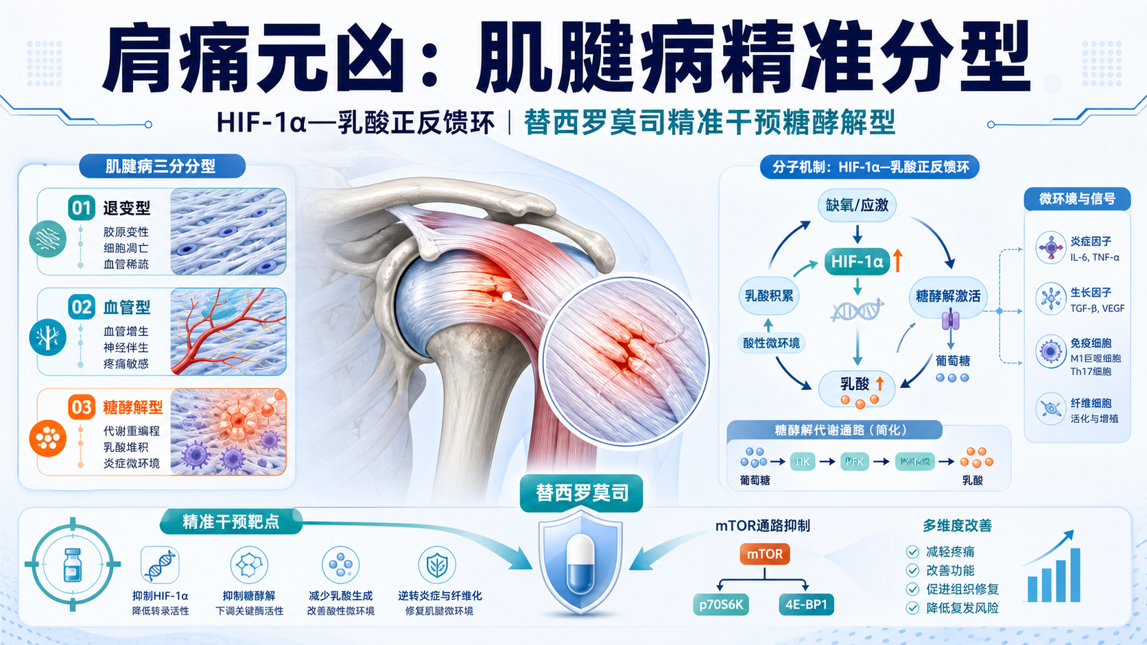 每日资讯速递2026-08-27|浙大团队BoneResearch肌腱病代谢分型精准治疗