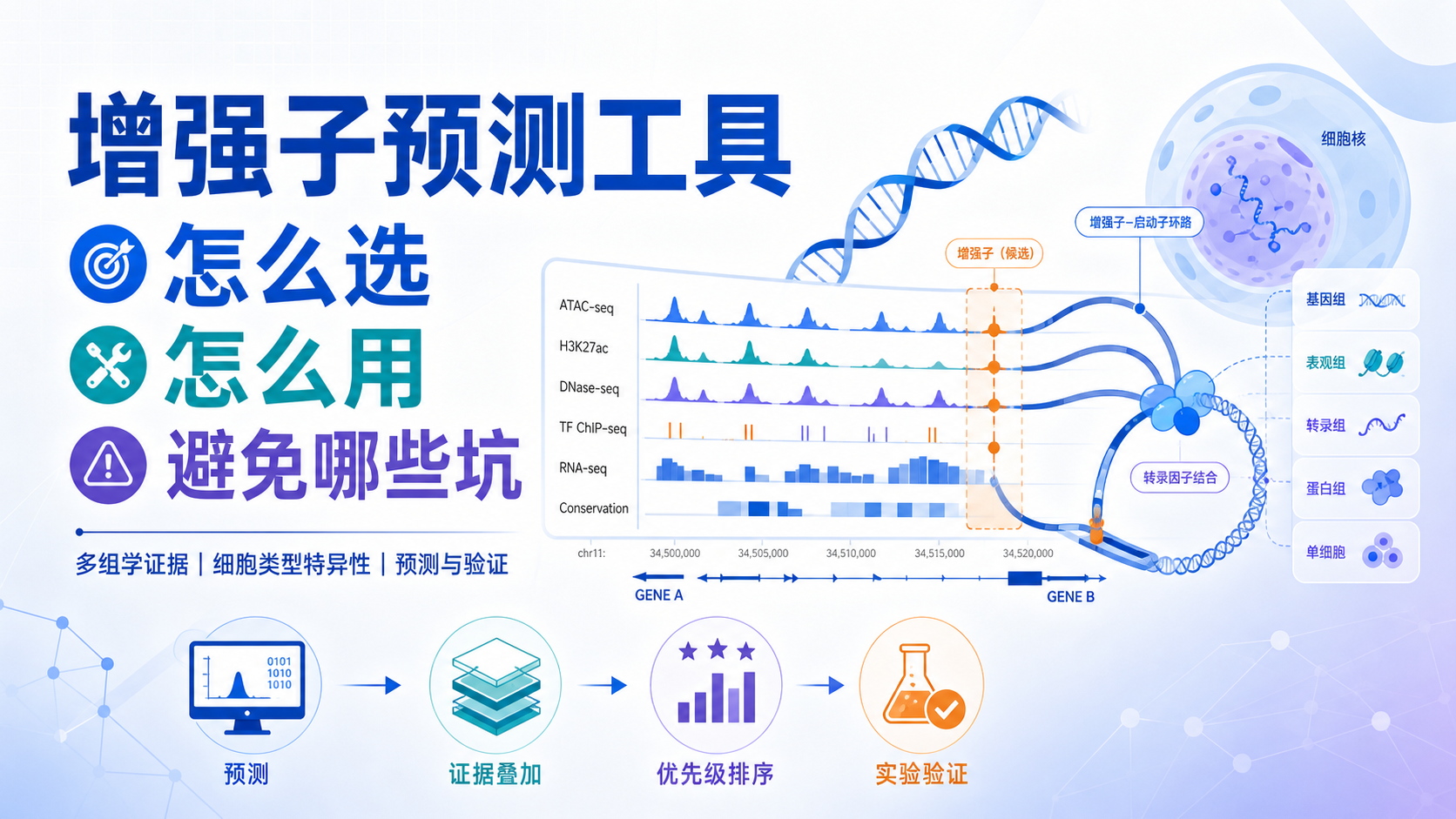 深度解析增强子预测工具,精准定位
