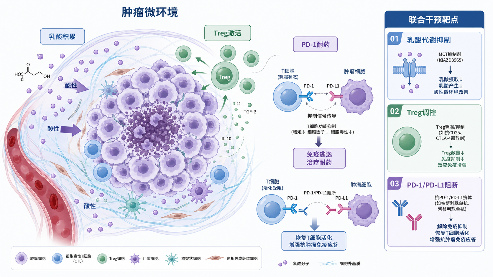 肿瘤微环境示意图,展示乳酸积累、Treg细胞激活、PD-1治疗耐药与联合干预靶点