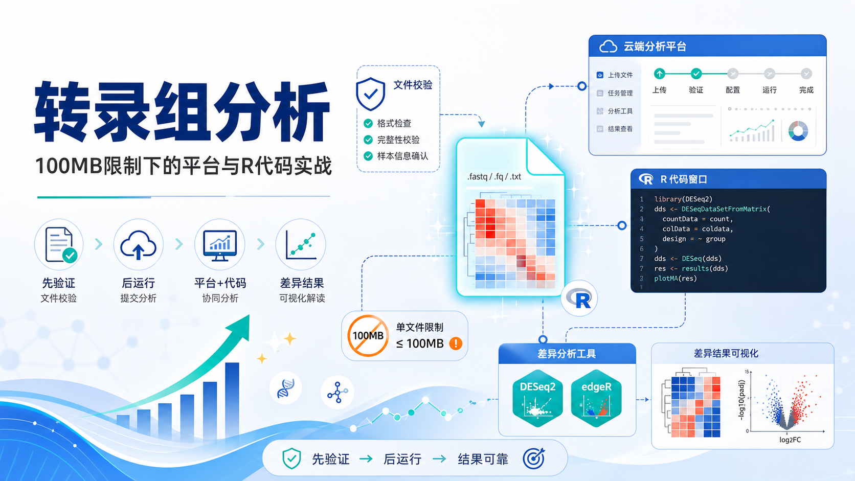 突破100MB限制：转录组差异分析仙桃平台实战策略