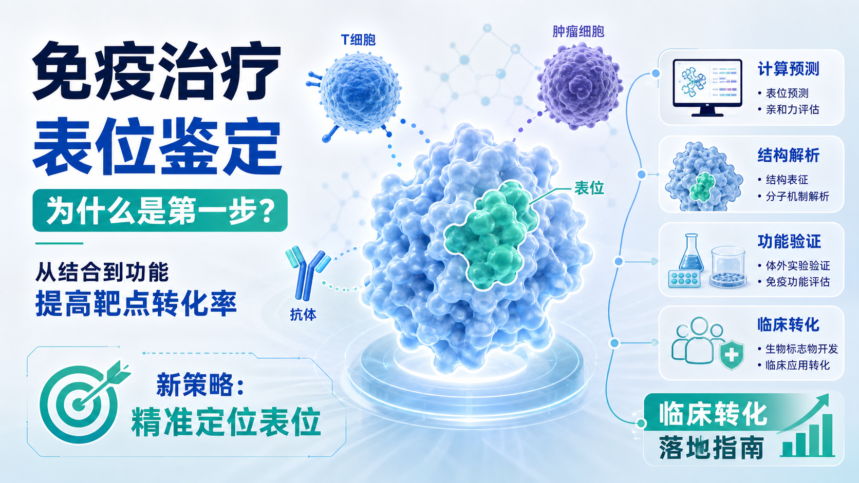 表位鉴定新策略：精准锁定免疫治疗靶点
