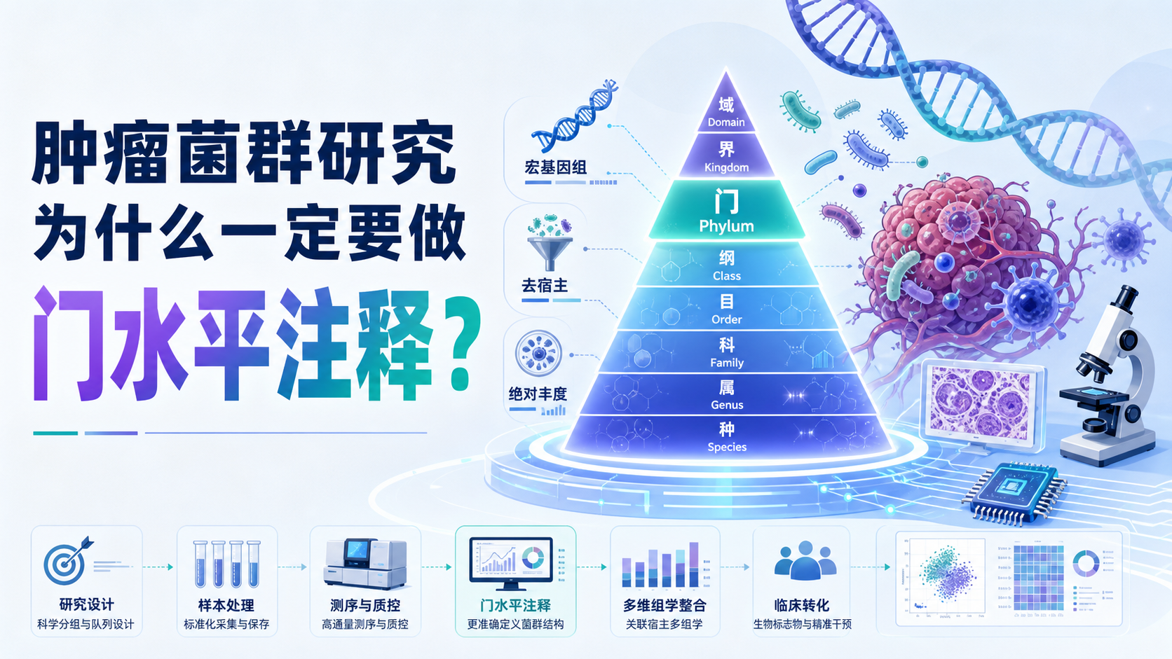 门水平注释在肿瘤菌群研究中的方法学突破与临床转化