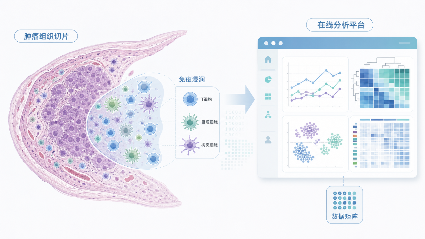 肿瘤组织切片与免疫细胞浸润示意图，旁边叠加在线分析平台界面和数据矩阵图标