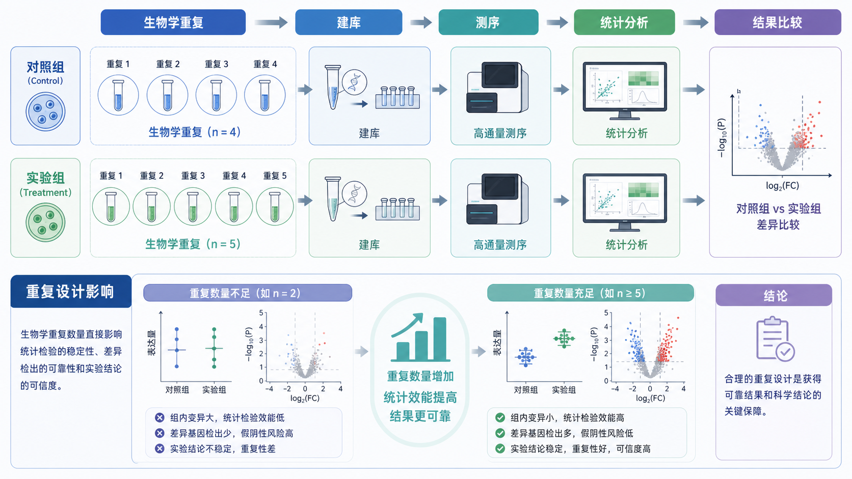 实验设计示意图，显示对照组与实验组的多个生物学重复、建库、测序与统计分析流程，突出“重复设计影响结果可靠性”