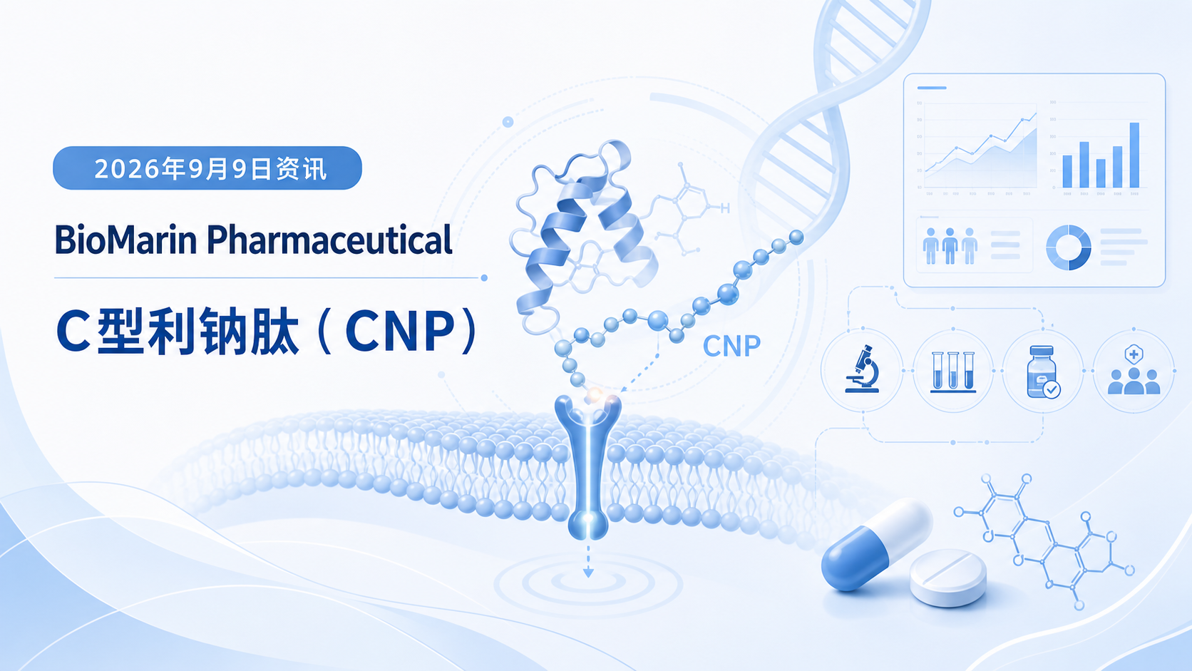 2026年9月9日资讯,BioMarin Pharmaceutical 宣布,其 C 型利钠肽(CNP)类似物 VOXZOGO(vosoritide)治疗软骨发育不良(hypochondroplasia,HCH)儿童的 3 期 CANOPY-HCH-3 研究完整结果已发表于《新英格兰医学杂志·循证》(NEJM Evidence),并在 2026 年欧洲儿科内分泌学会(ESPE)年会上以最新突破性口头报告形式公布。结果显示,VOXZOGO 在年化生长速度(AGV)这一主要终点上取得统计学显著改善。BioMarin 近期已向 FDA 提交补充新药申请(sNDA),若获批,VOXZOGO 将成为首个针对软骨发育不良儿童的靶向治疗药物。