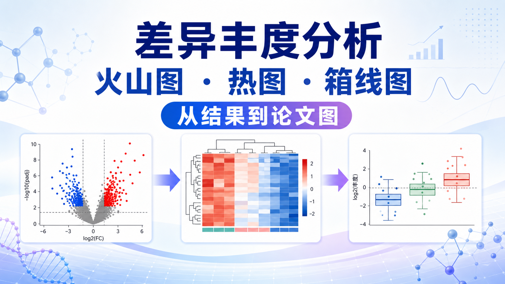 差异丰度数据可视化进阶：火山图热图箱线图实战指南