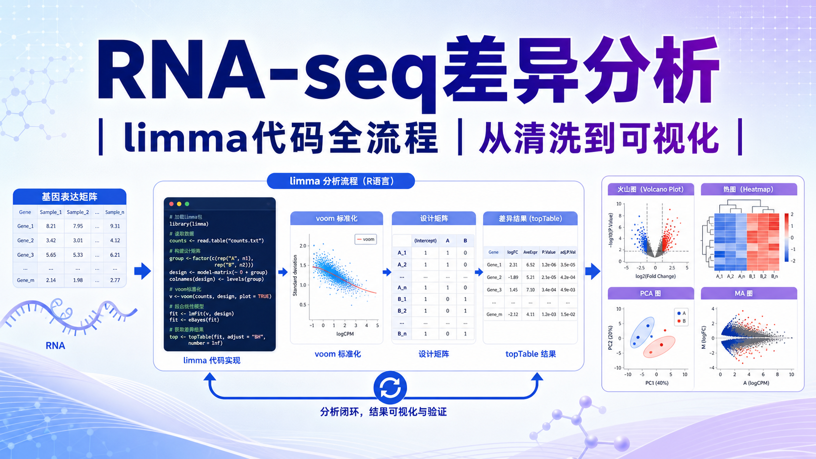RNA-seq差异分析代码实战：limma包从数据清洗到可视化全解析