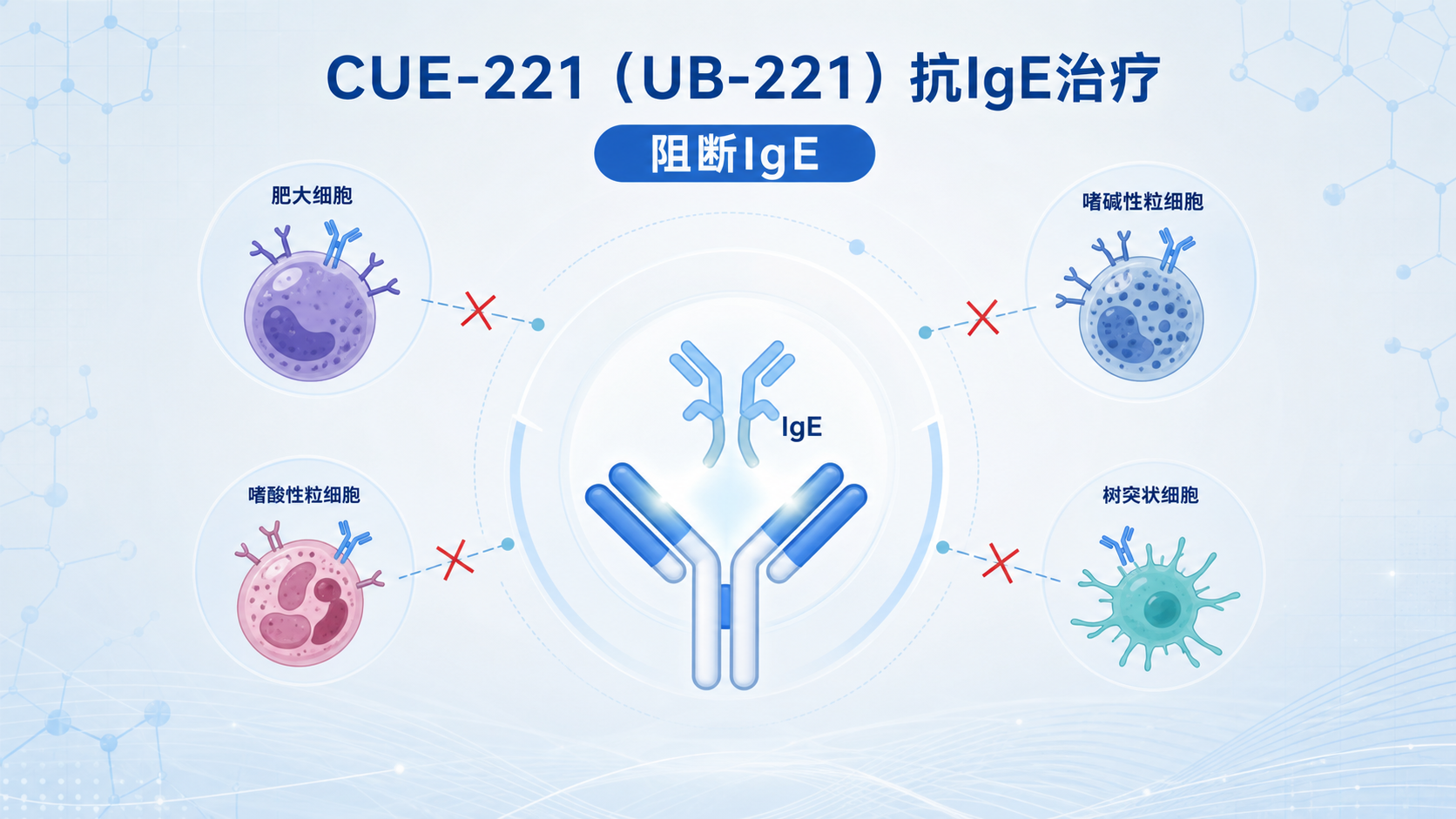 Cue Biopharma 近日公布其抗 IgE 单克隆抗体 CUE-221(UB-221)治疗慢性自发性荨麻疹(CSU)的 II 期顶线结果。这项在中国开展的随机、双盲、安慰剂及阳性药对照试验纳入 145 例中重度 CSU 患者,结果显示第 12 周风团完全消退(HSS7=0)率在三个剂量组达 43%–54%,显著优于安慰剂(11%),并数值上高于奥马珠单抗(Xolair,41%);更关键的是,停药 12 周后(第 28 周)高剂量组仍有 60% 维持风团完全消退,而奥马珠单抗组仅 24%,提示其差异化、更持久的作用机制。