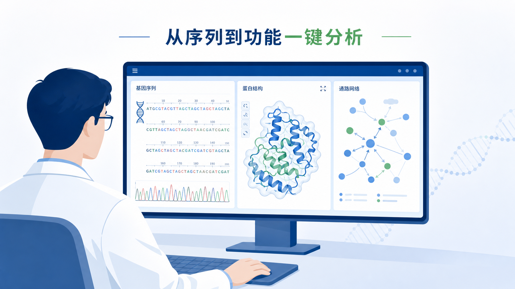 科研人员在电脑前同时查看基因序列、蛋白结构图和通路网络图，体现“从序列到功能一键分析”的场景