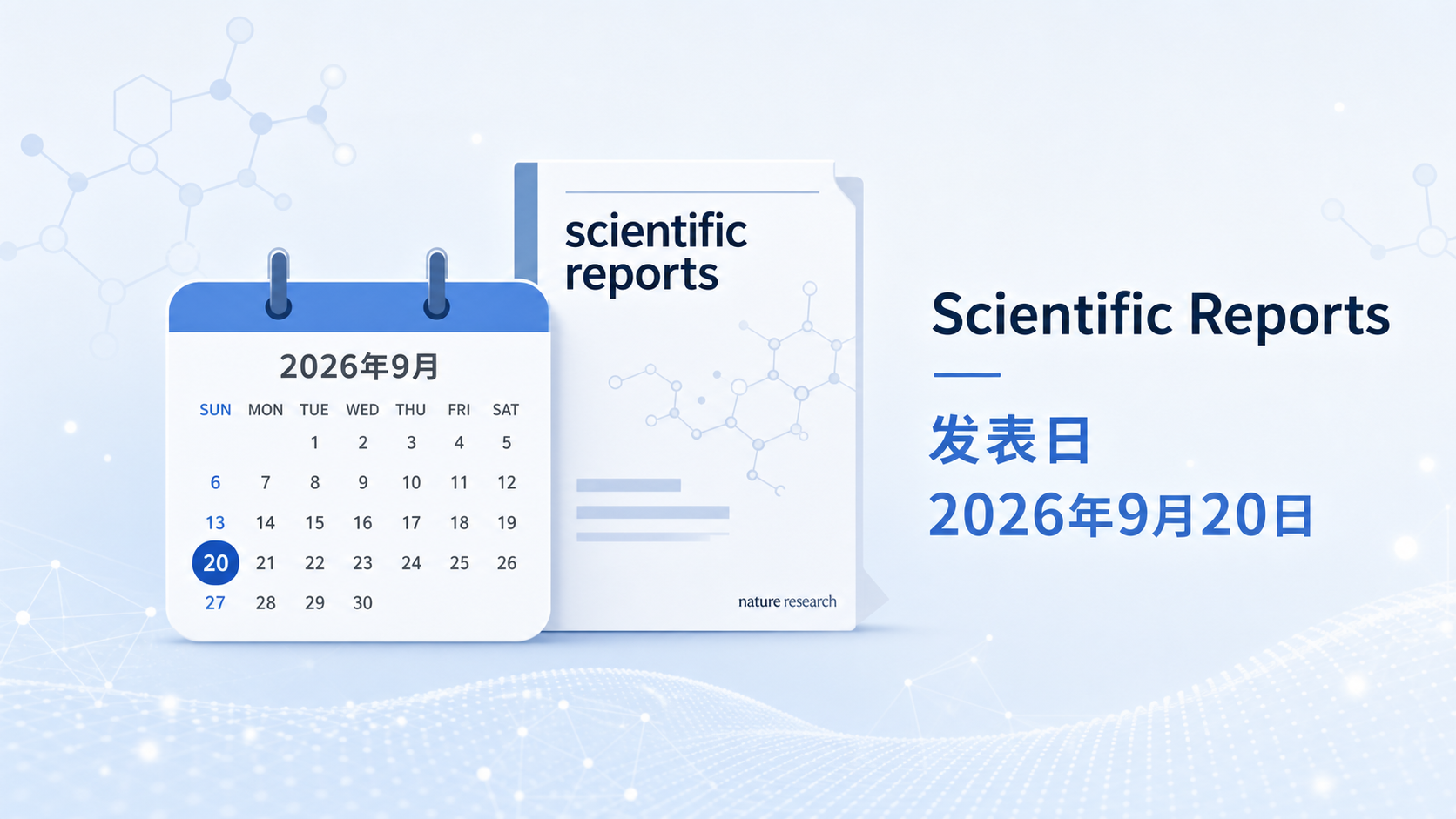 2026年9月20日,《自然》旗下期刊《科学报告》(Scientific Reports)发表日本东京大学团队的研究"Comparative genomics of Actinomyces identifies an MRONJ-associated lineage characterized by variation in mfd"。研究利用选择性培养基从多家医院的53例药物相关颌骨坏死(MRONJ)患者口腔标本中分离放线菌,结合短读长与纳米孔长读长测序完成基因组解析,发现多数MRONJ来源菌株聚类于以Actinomyces oris为主导、并以mfd基因特定变异为特征的一个谱系,为MRONJ的微生物学关联提供了迄今最系统的基因组学证据。