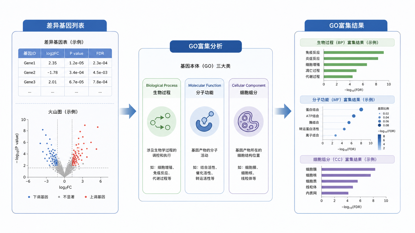一张RNA-seq差异基因结果转换为GO富集分析流程的示意图,包含基因列表、GO三大类别、富集结果图标