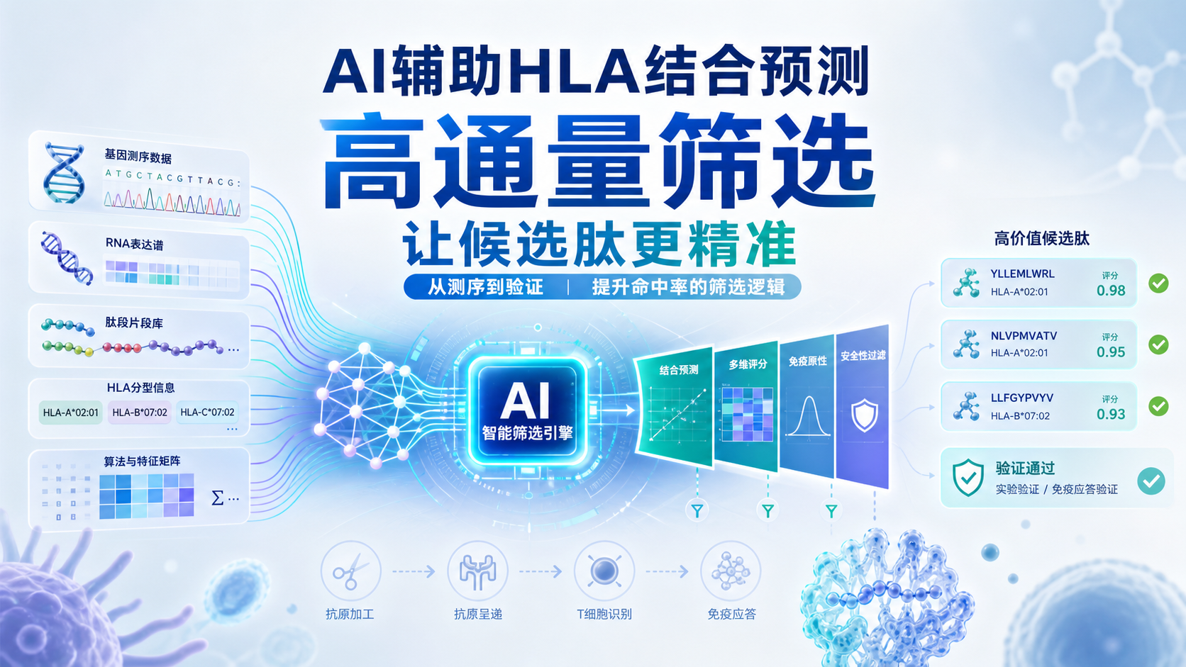 突破HLA结合预测瓶颈：AI辅助下的高通量筛选思路