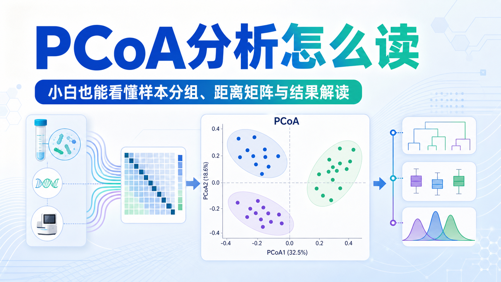 一文掌握PCoA分析:从原理到实战结果的精准解读