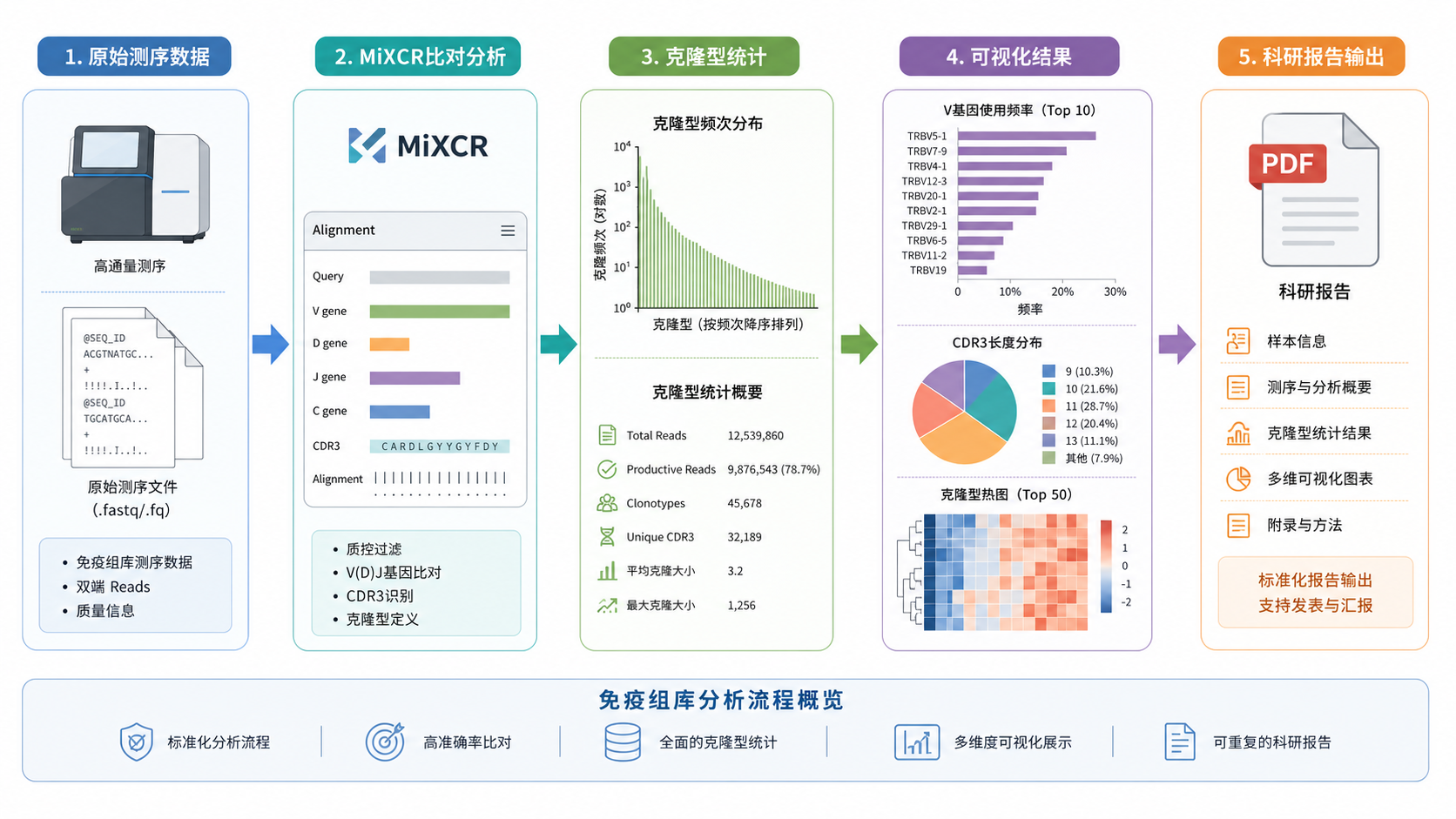 免疫组库分析流程示意图，包含原始测序数据、MiXCR比对、克隆型统计、可视化结果与科研报告输出