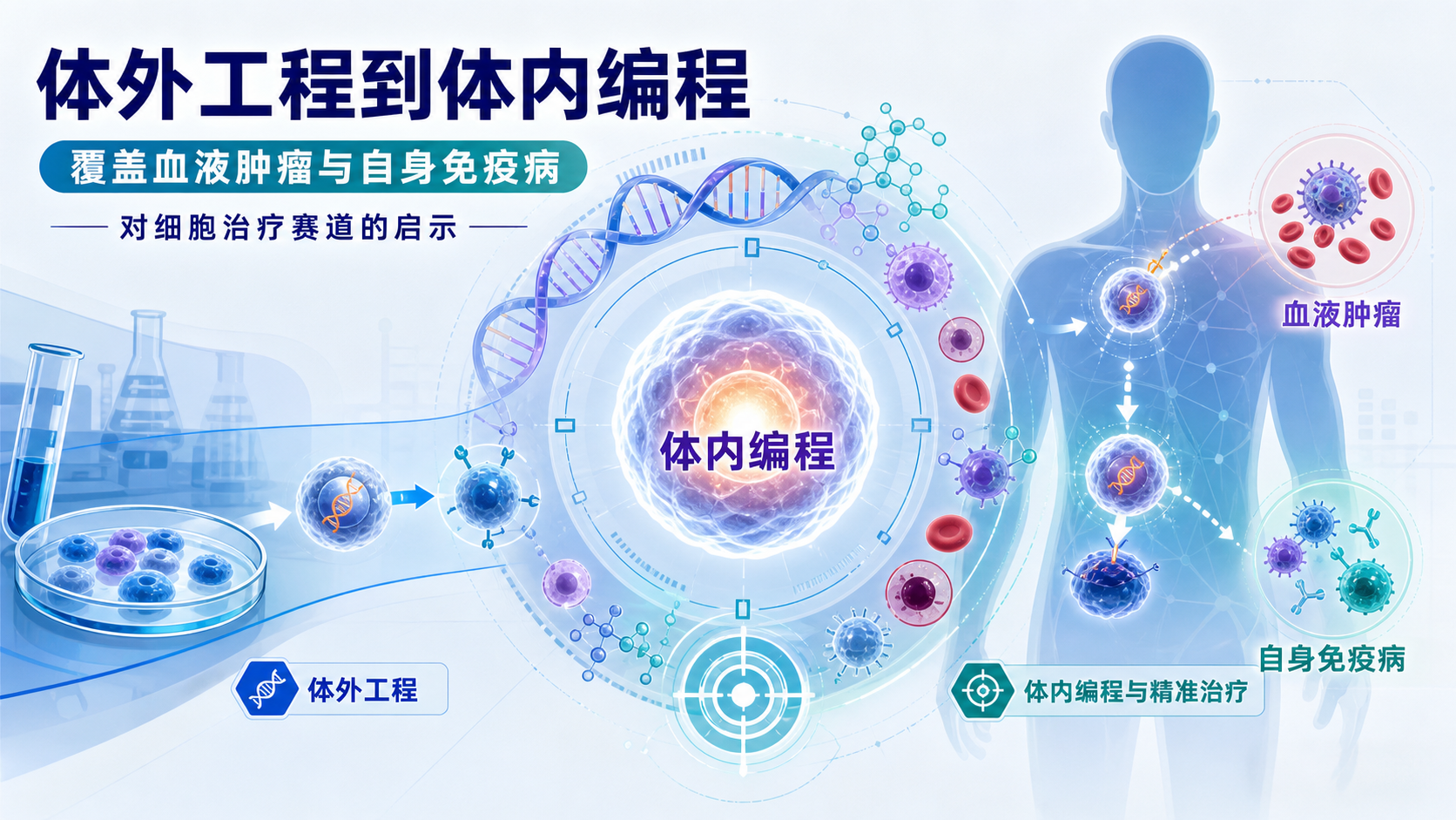 ‎每日资讯速递2026-08-31｜ArsenalBio战略聚焦体内CAR-T