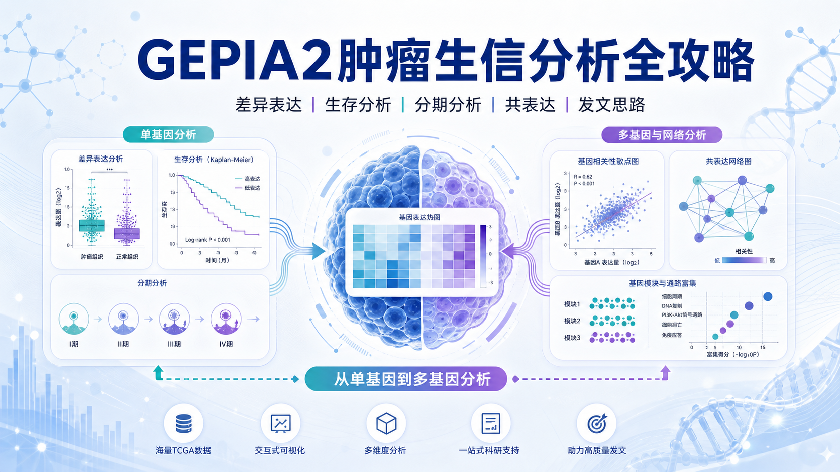 高效发文新路径：GEPIA2在肿瘤生信分析中的应用精讲