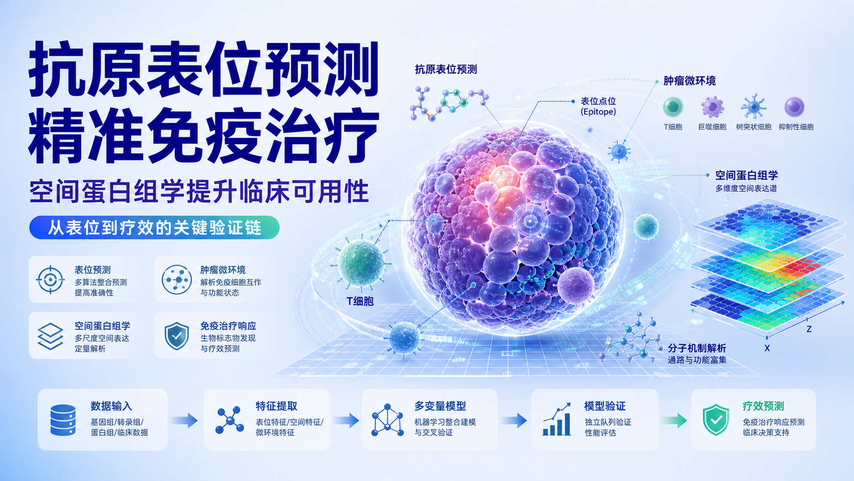 抗原表位预测新突破:精准免疫治疗的关键