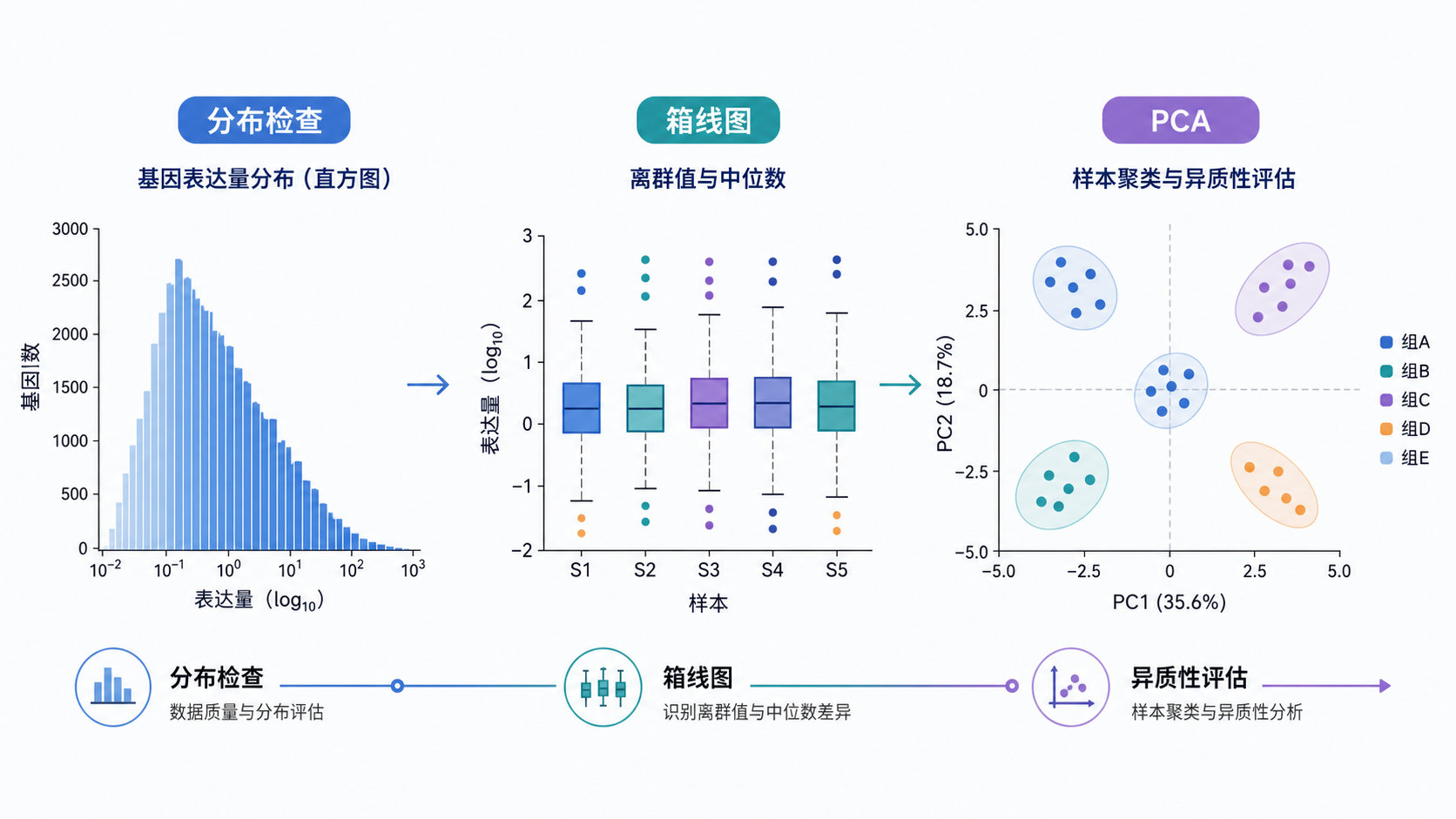 一张包含基因表达量直方图、箱线图和PCA示意图的科研风格配图，突出“分布检查到异质性评估”的流程感