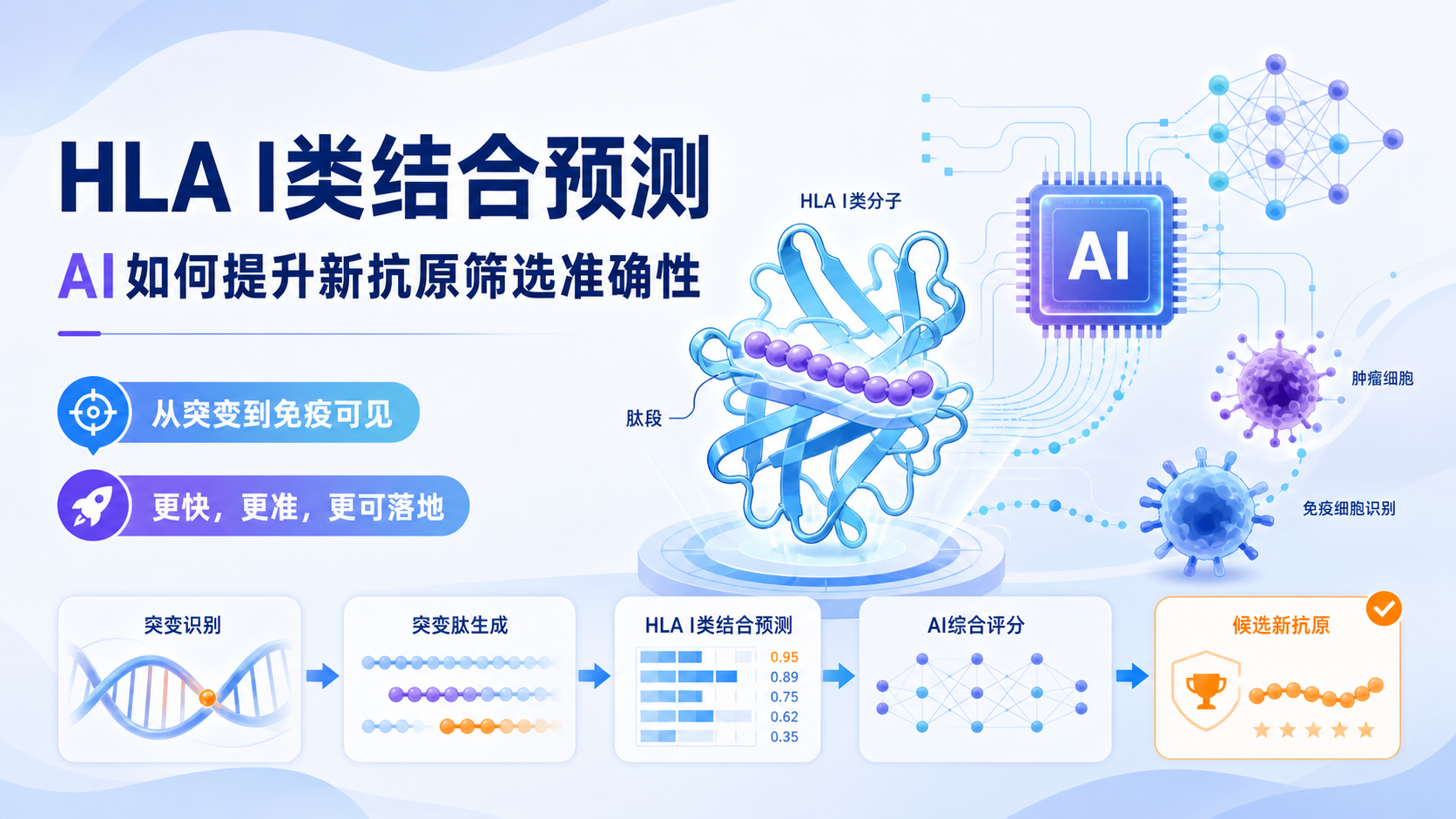 HLA I类结合预测新突破:AI如何精准锁定免疫靶点