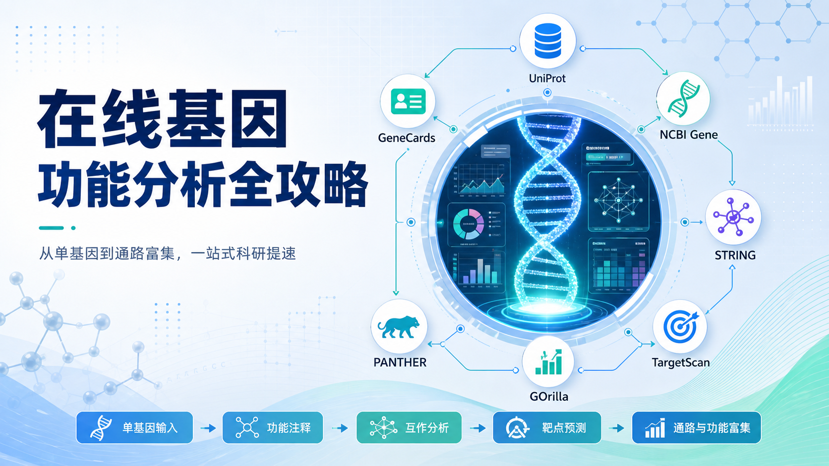 在线基因功能分析加速科研:从序列到功能一键实现