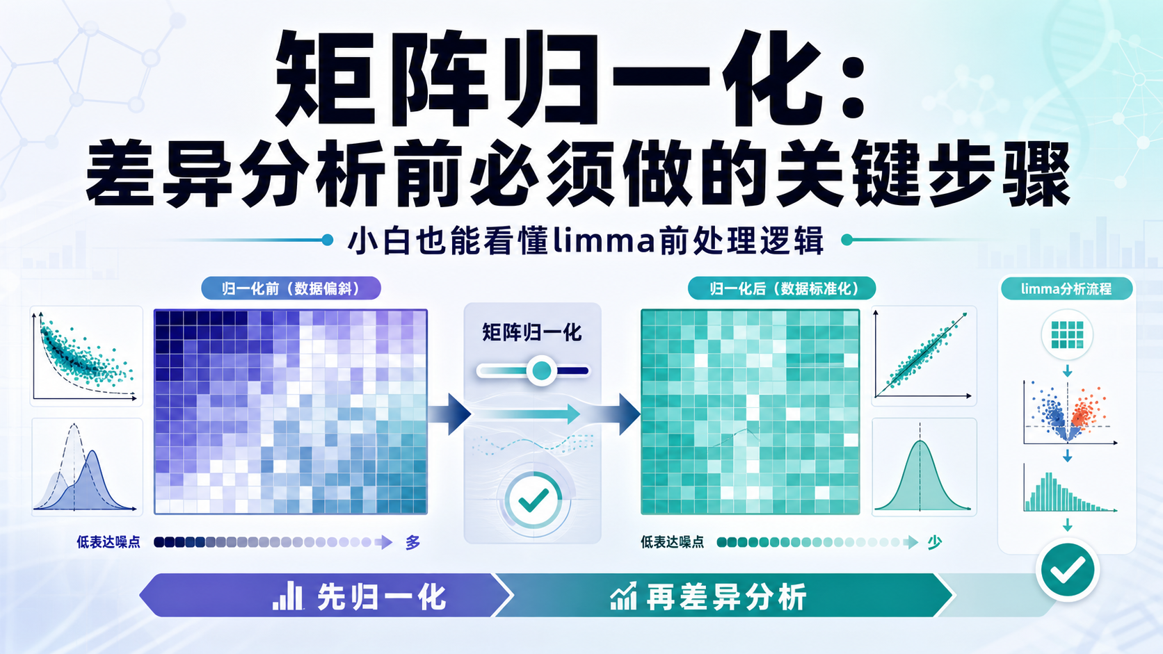 矩阵归一化:差异分析前的必要步骤