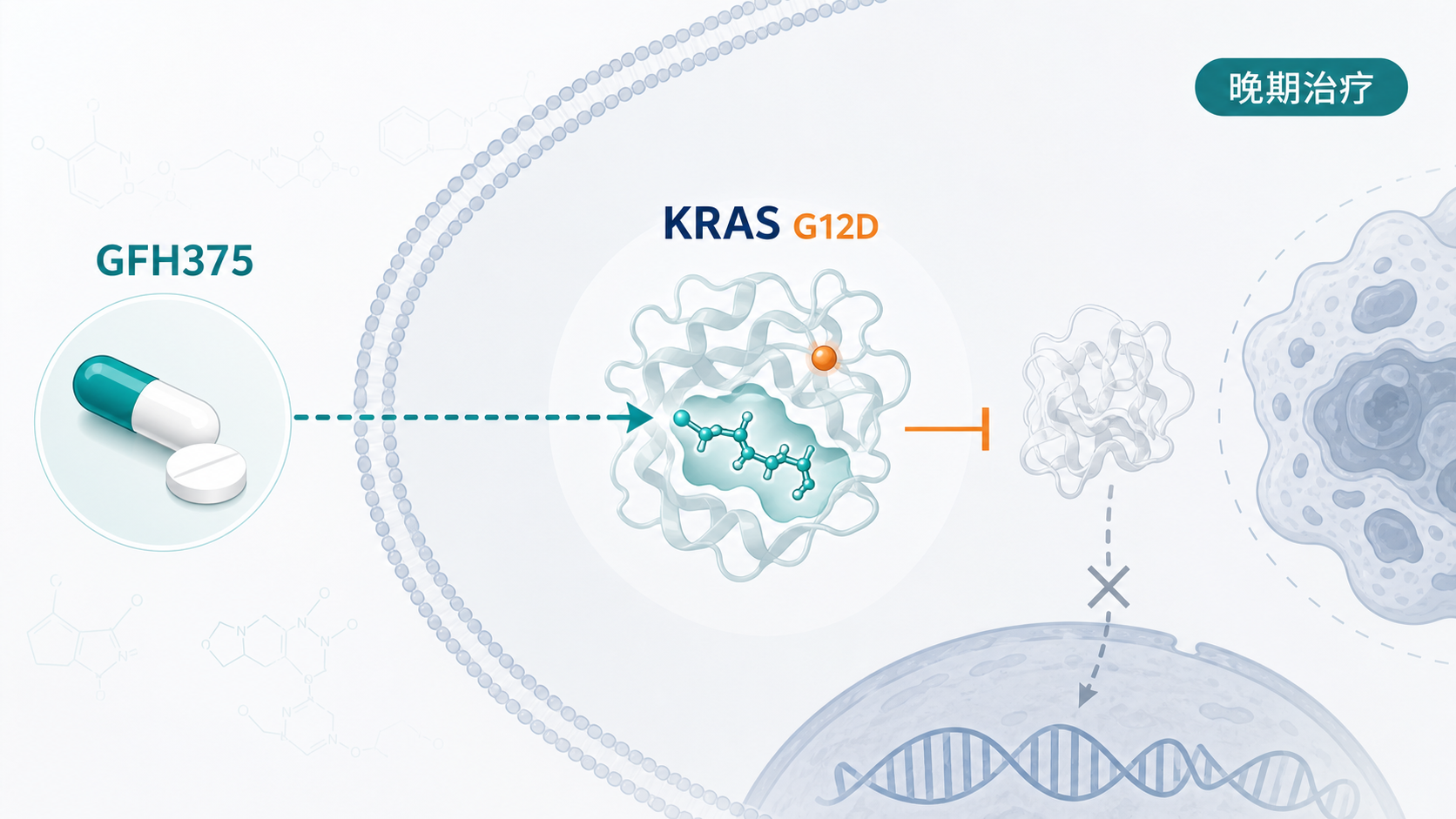 2026年9月16日资讯,劲方医药宣布其口服 KRAS G12D 抑制剂 GFH375 治疗晚期实体瘤的 I 期临床研究成果发表于《自然·医学》(Nature Medicine)。研究显示,GFH375 在 100–900 mg 日剂量的多剂量水平下,对经多线治疗的胰腺癌、非小细胞肺癌等患者展现出令人鼓舞的抗肿瘤活性与可控安全性,成为全球进展最快的口服 KRAS G12D 抑制剂之一。