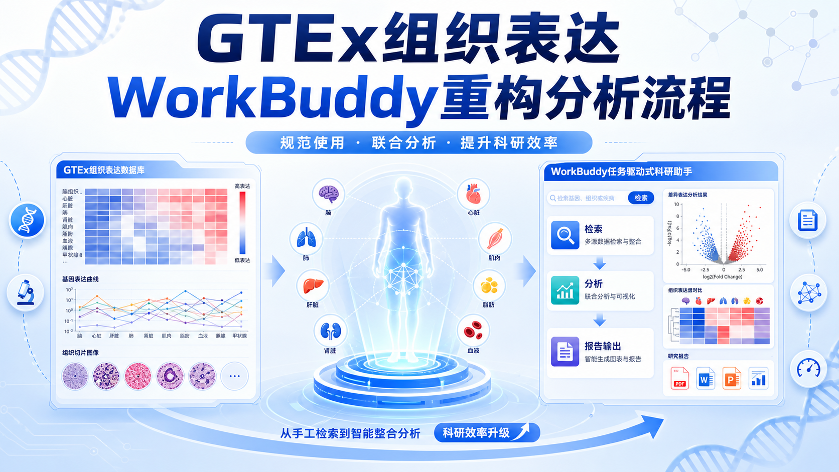 WorkBuddy结合GTEx数据库赋能组织表达研究新范式