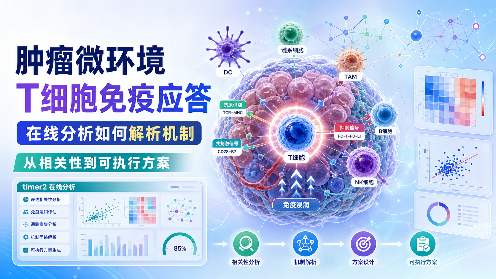 T细胞免疫应答与肿瘤微环境在线分析新策略