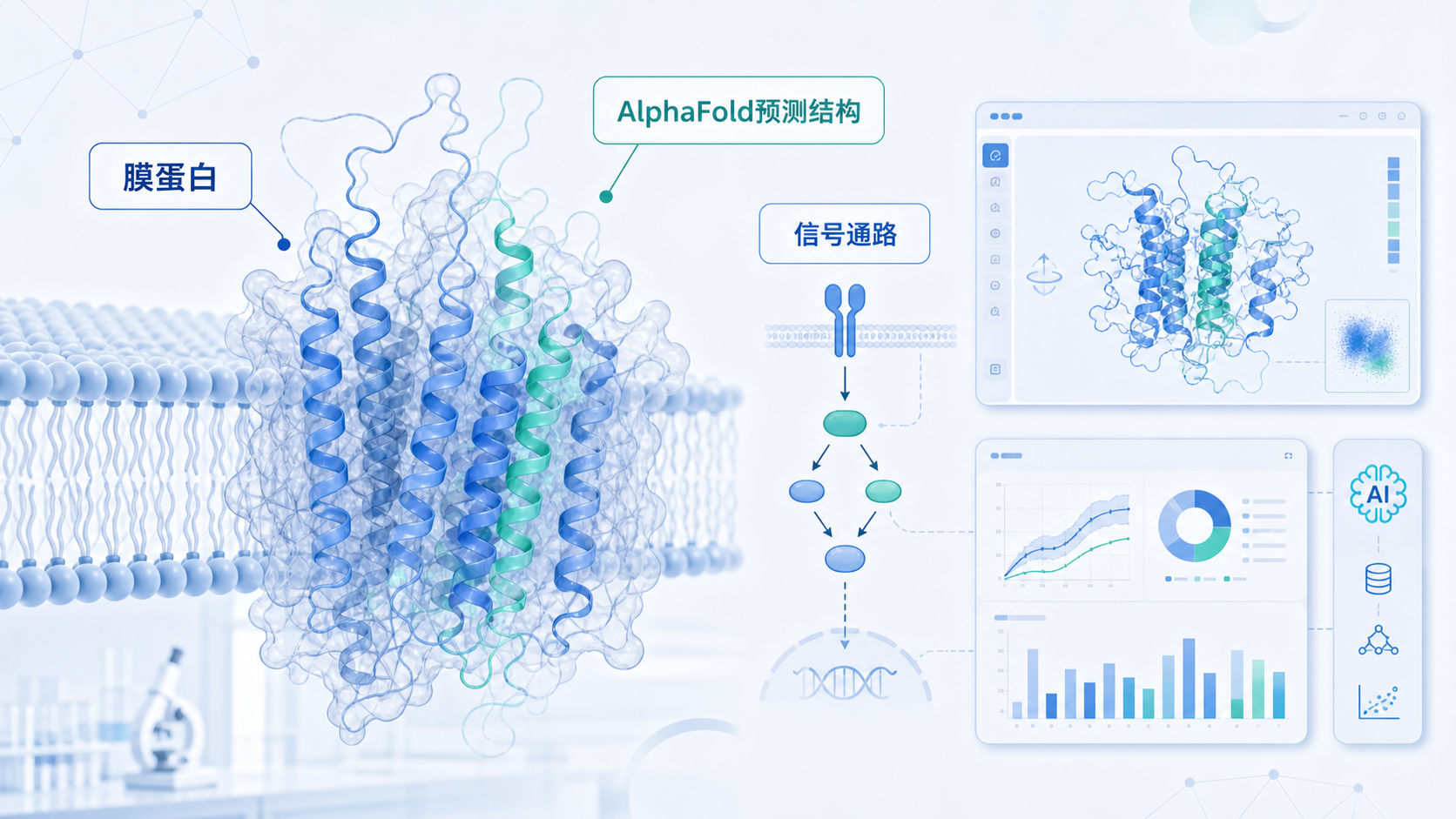 实验室场景中，膜蛋白示意图与AlphaFold预测结构叠加展示，旁边有信号通路箭头和计算界面，突出“跨膜信号通路解析”主题