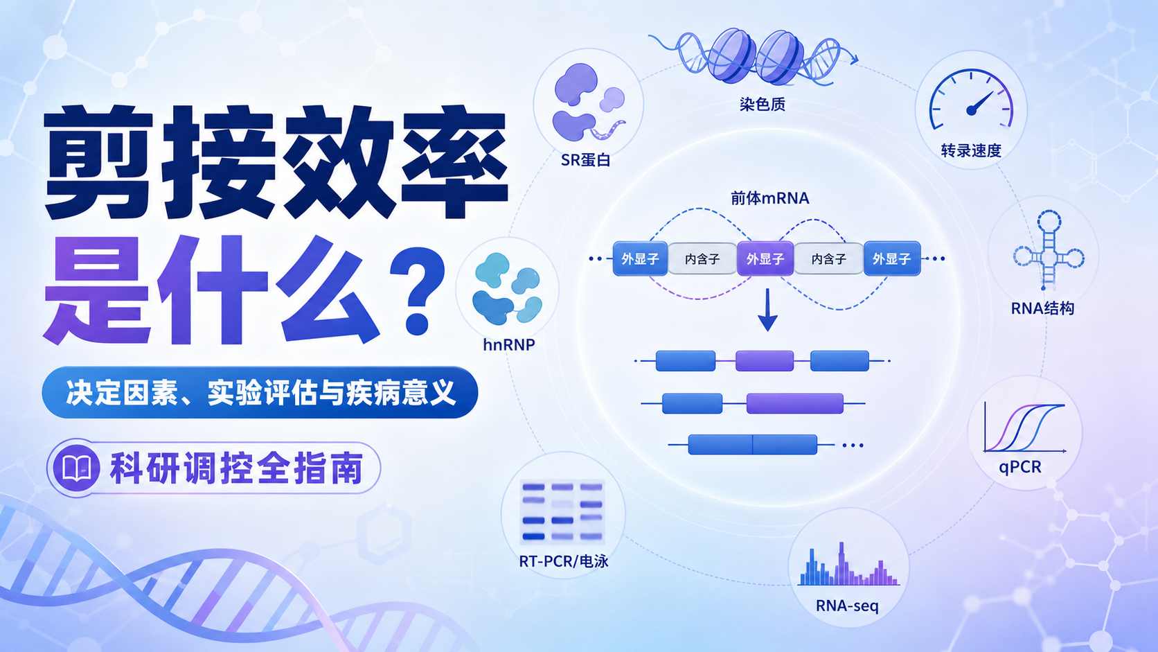 剪接效率精准调控策略：解码基因表达的关键开关