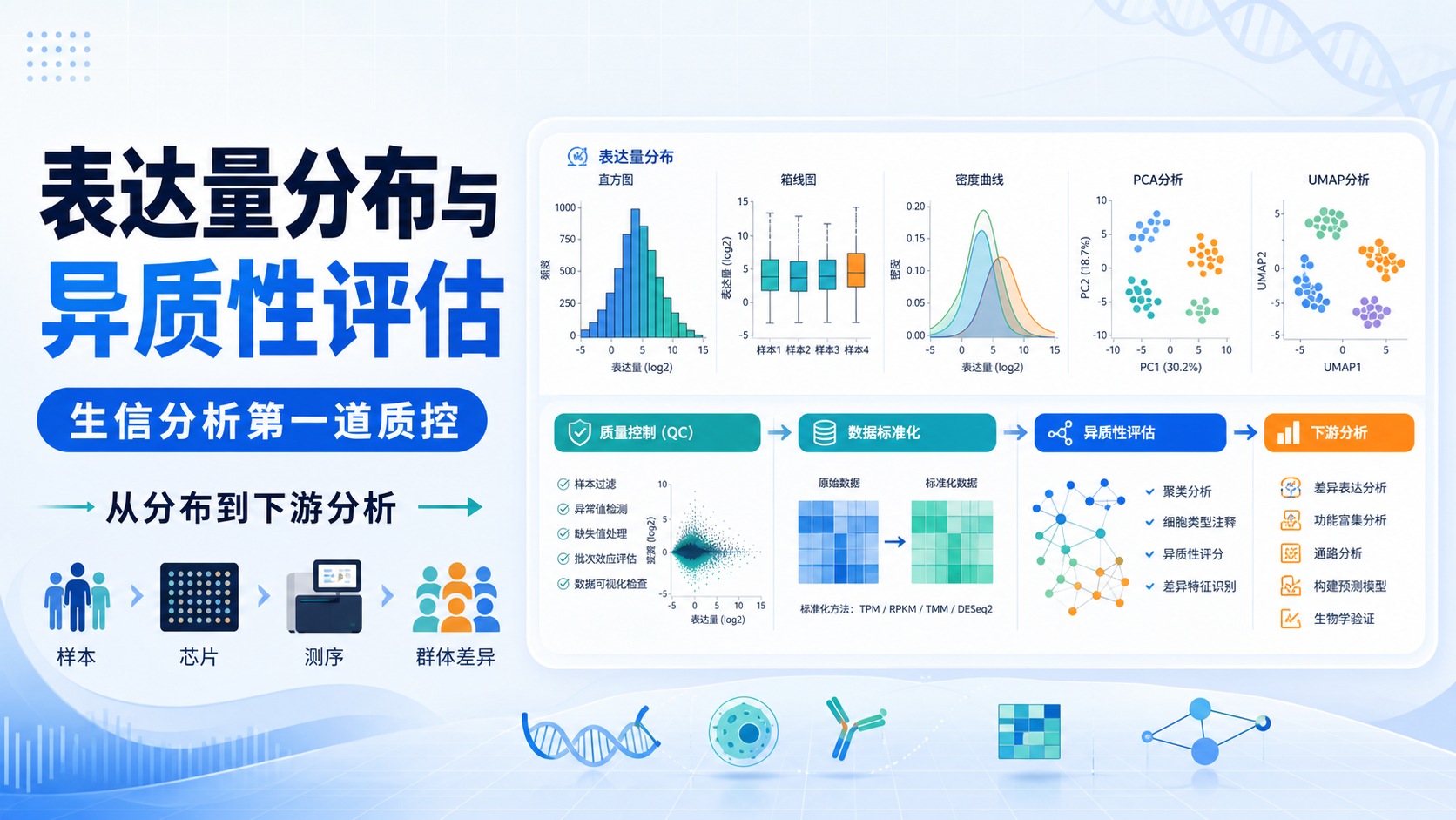 从表达量分布到异质性评估的生信分析全流程