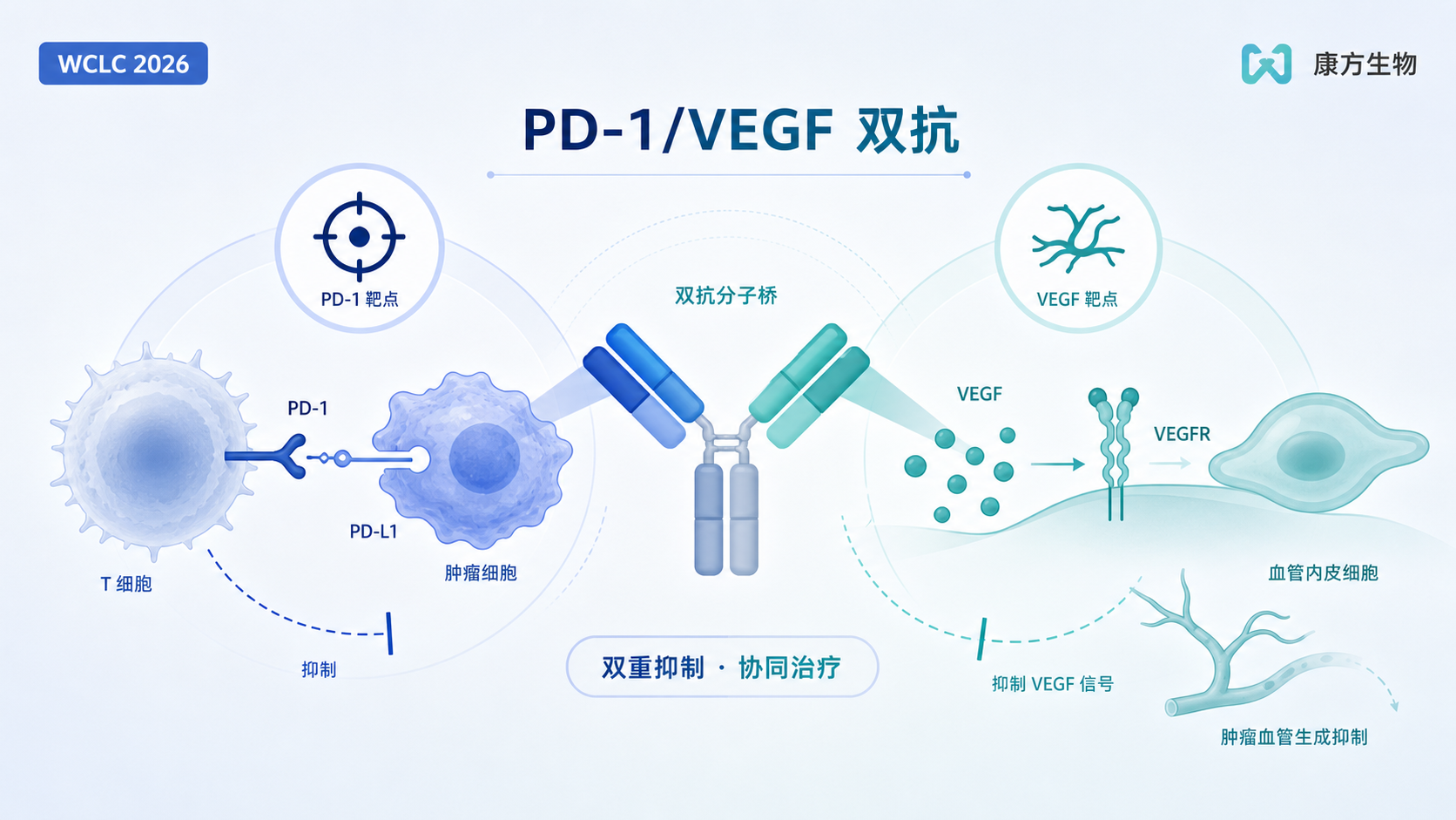 2026年9月13日资讯，WCLC 2026 官方发布了康方生物全球首创 PD-1/VEGF 双抗依沃西（依达方）的 HARMONi-2（AK112-303）Ⅲ期研究总生存期（OS）结果：在 PD-L1 表达阳性（TPS≥1%）的局部晚期或转移性非小细胞肺癌（NSCLC）一线治疗中，依沃西单药相较帕博利珠单抗显著延长 OS，中位 OS 达 30.8 个月对 22.6 个月（HR=0.73，P=0.009），死亡风险降低 27%。这是首个在头对头 Ⅲ 期研究中 OS 优于帕博利珠单抗的 PD-1/VEGF 双抗，研究主要研究者、IASLC 主席周彩存教授将于 9 月 15 日作正式口头报告。