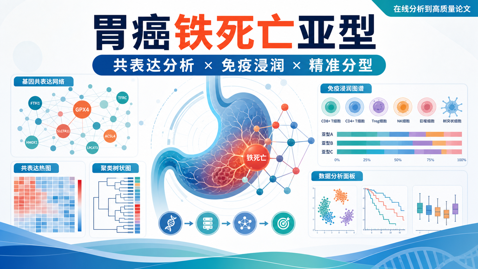 基因共表达联合免疫浸润分析：胃癌铁死亡亚型精准分型新策略