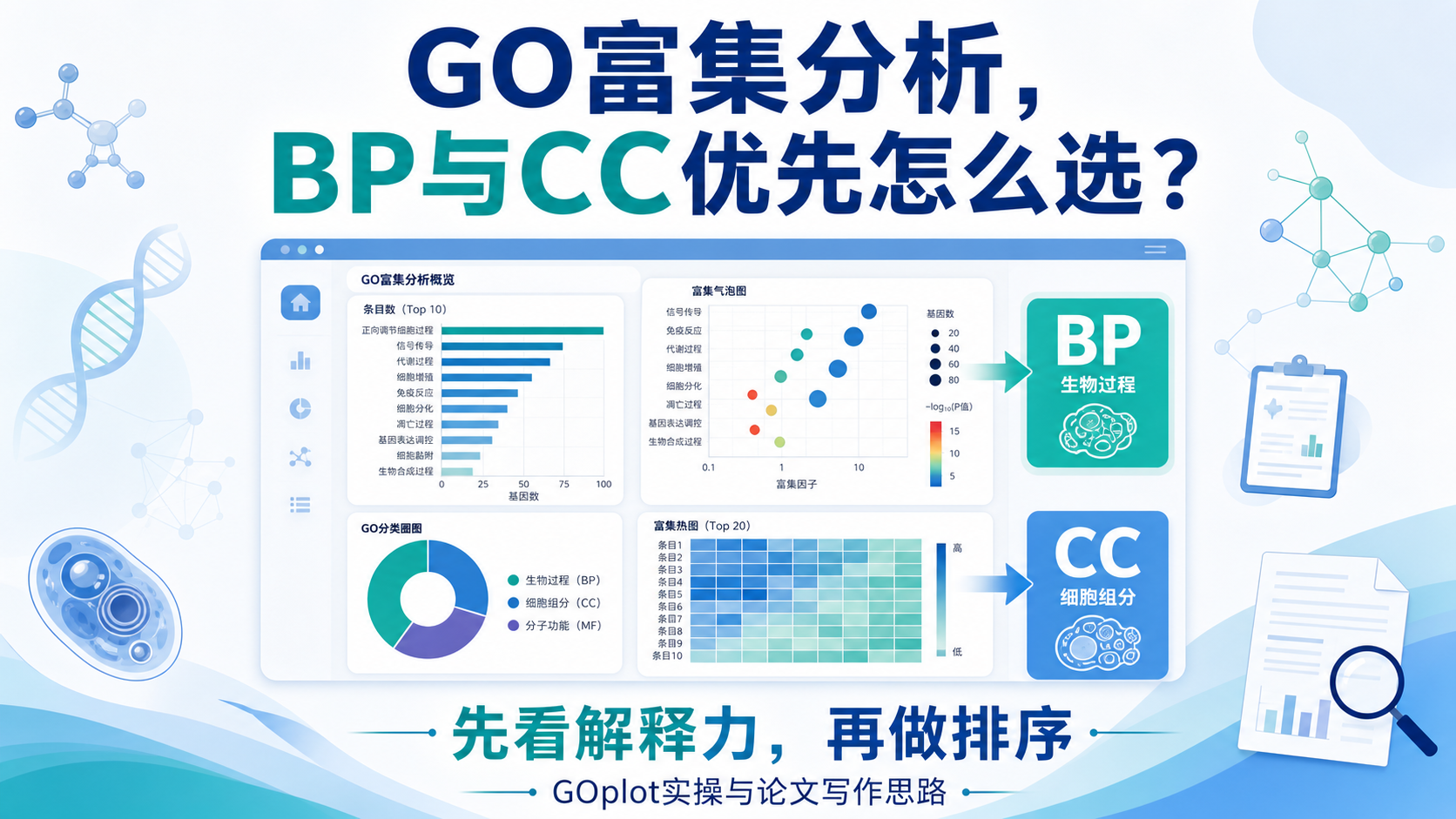 五高六中结局证据：GO功能注释中BP与CC的优选分析路径