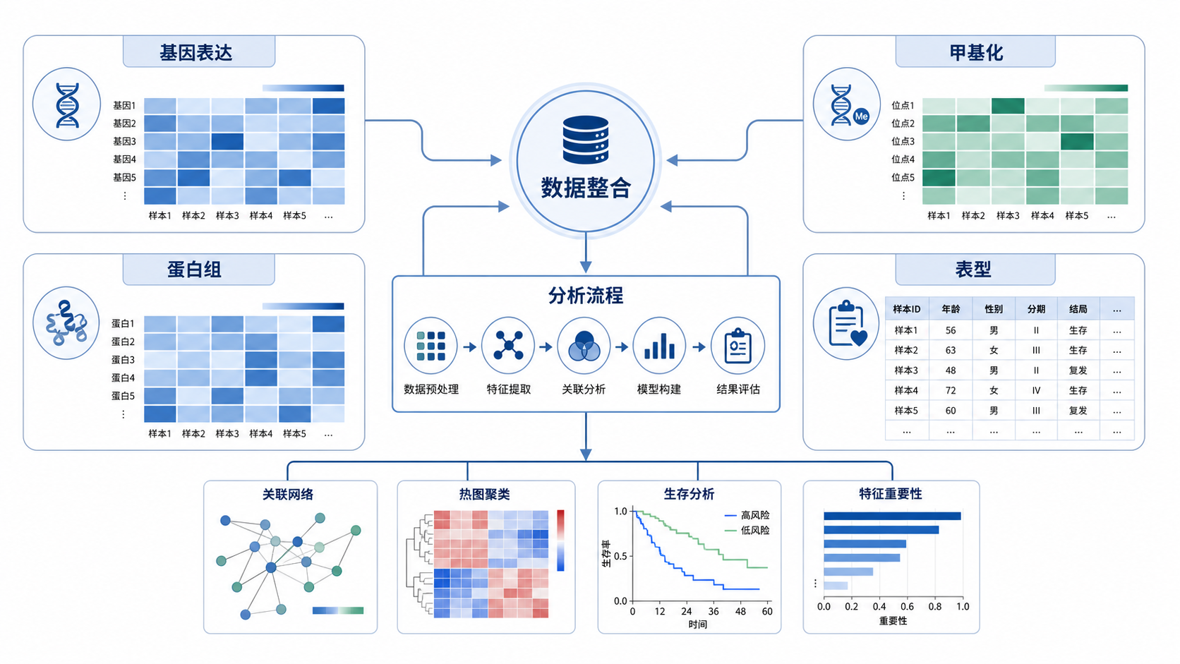 多组学数据整合示意图，包含基因表达、蛋白组、甲基化与表型信息，中心连接为分析流程图，风格简洁专业