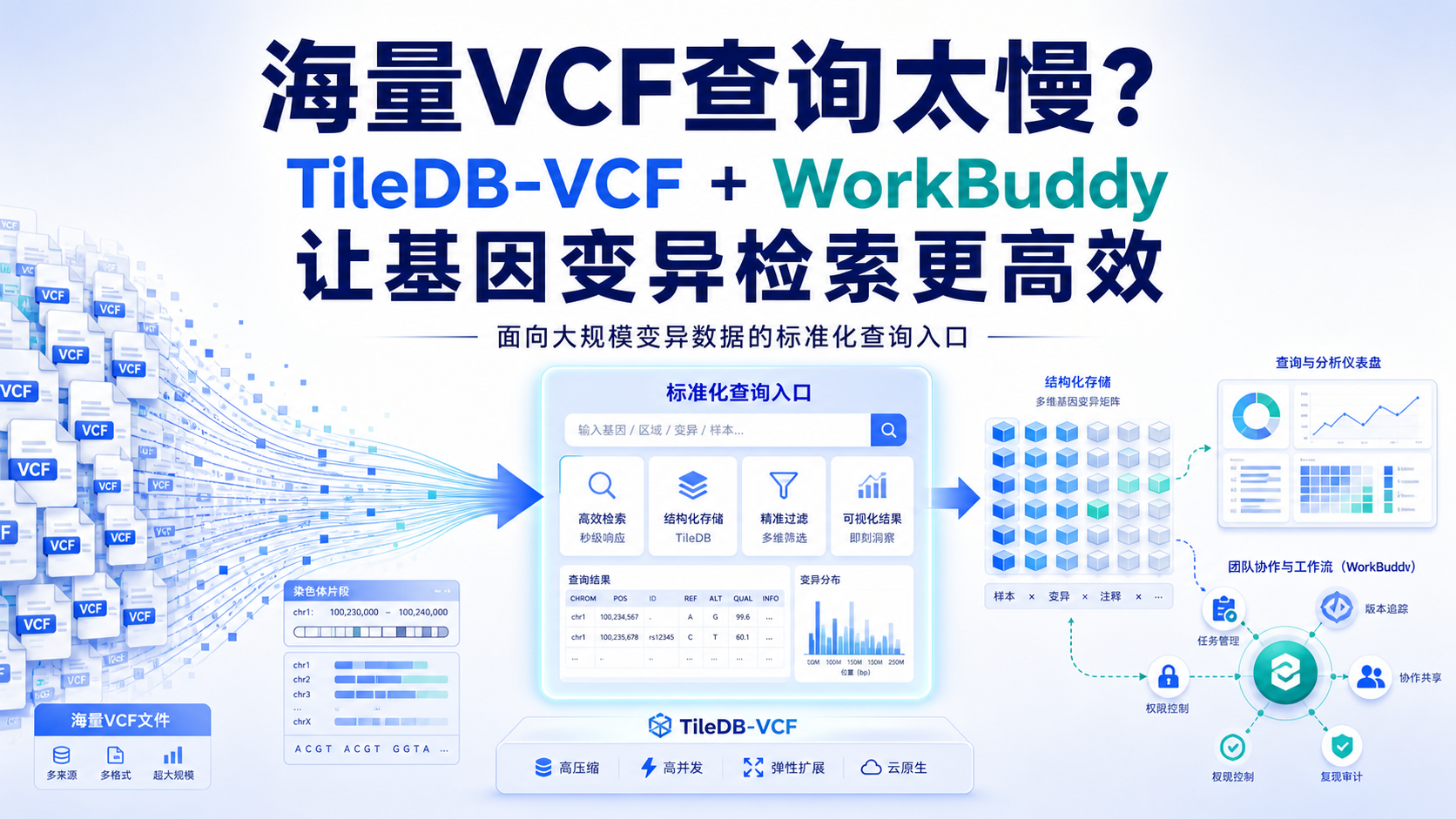 破解海量VCF：WorkBuddy+TileDB-VCF查询实战
