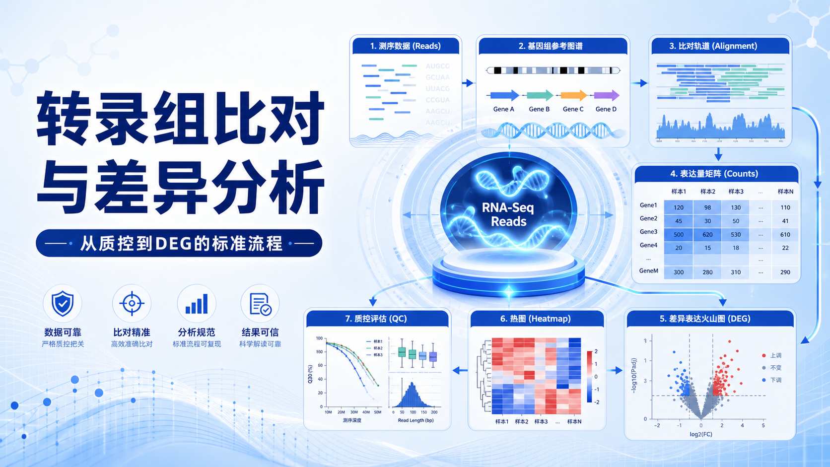 转录组比对实战指南：从原始数据到差异表达基因