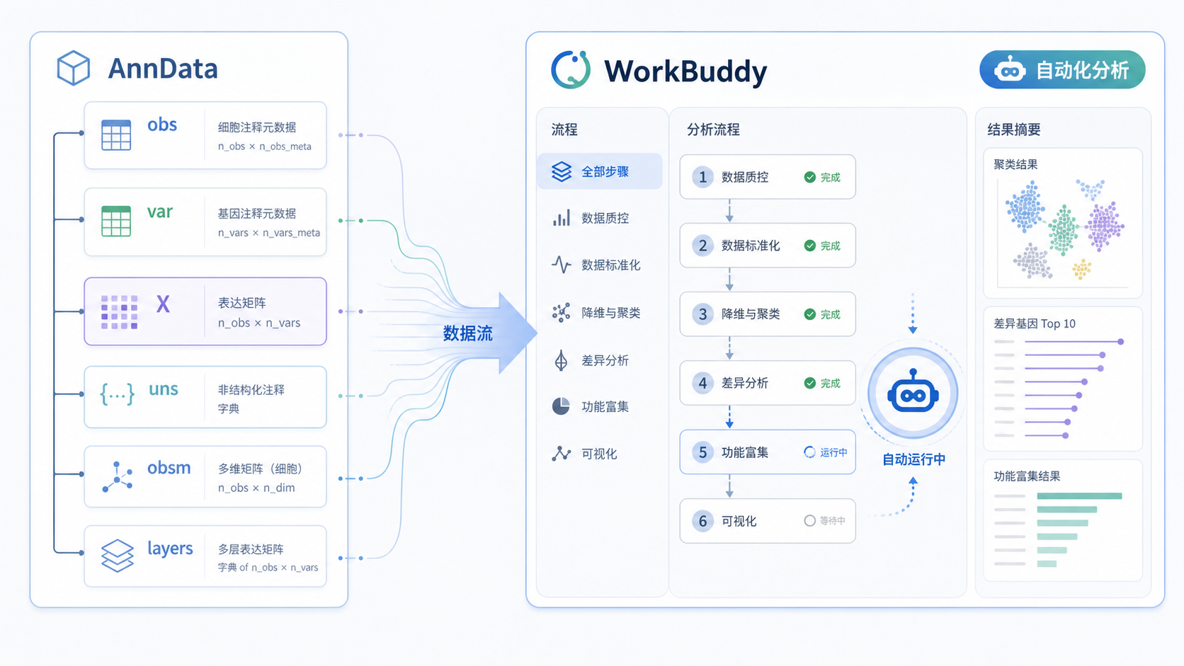 单细胞数据分析工作流示意图,左侧为AnnData对象结构,右侧为WorkBuddy自动化分析界面,背景可见生物信息学代码与可视化图表