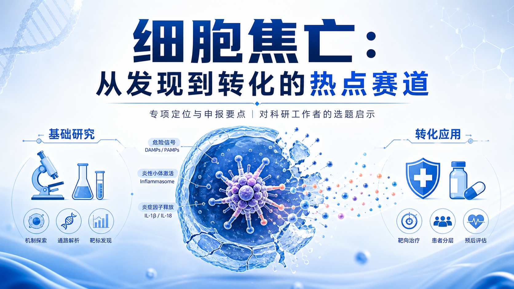 ‎每日资讯速递2026-09-01｜国自然发布细胞焦亡专项项目申请指南