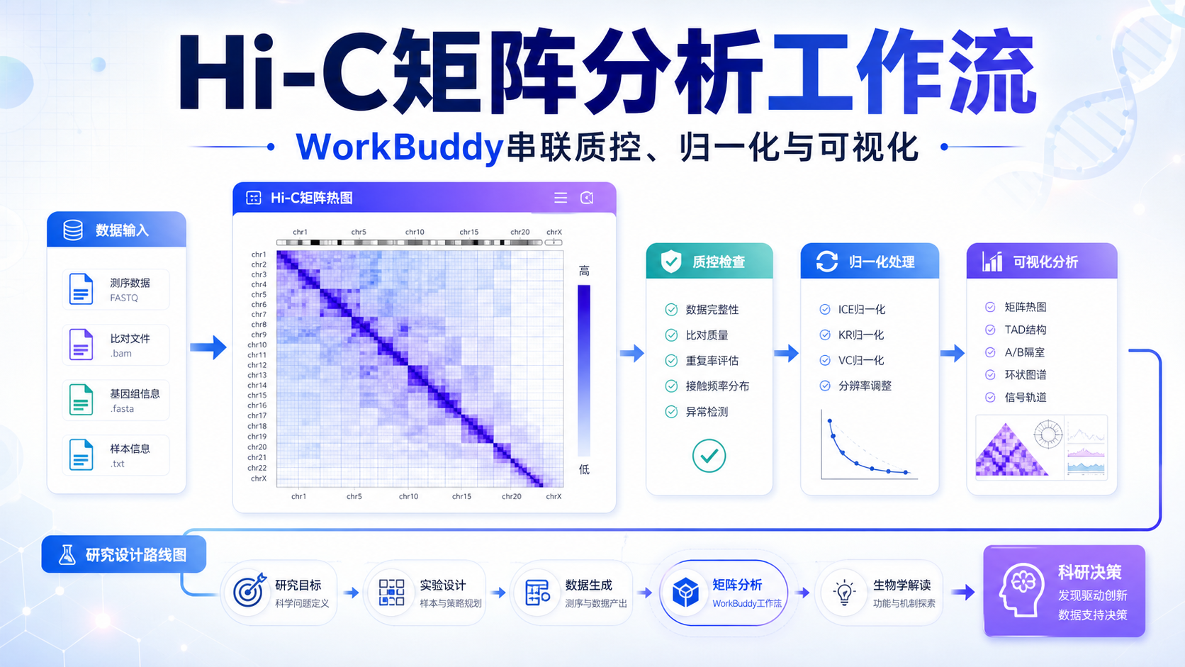 WorkBuddy处理Hi-C矩阵的实用工作流