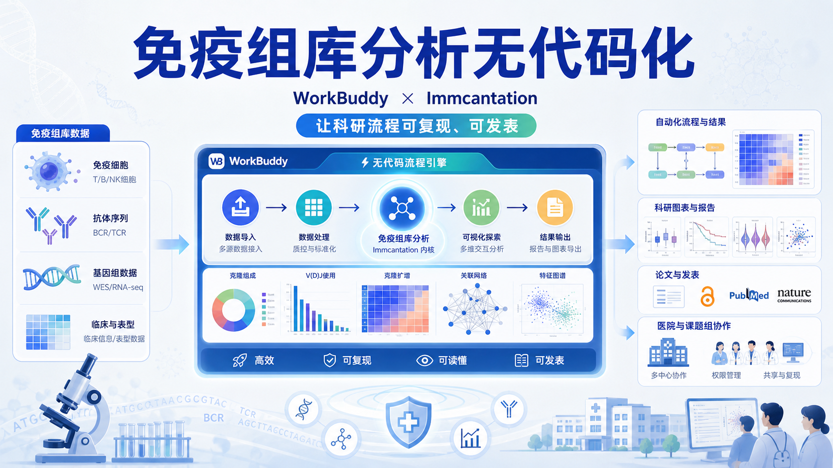 WorkBuddy精准调用Immcantation,医生无代码完成免疫数据挖掘