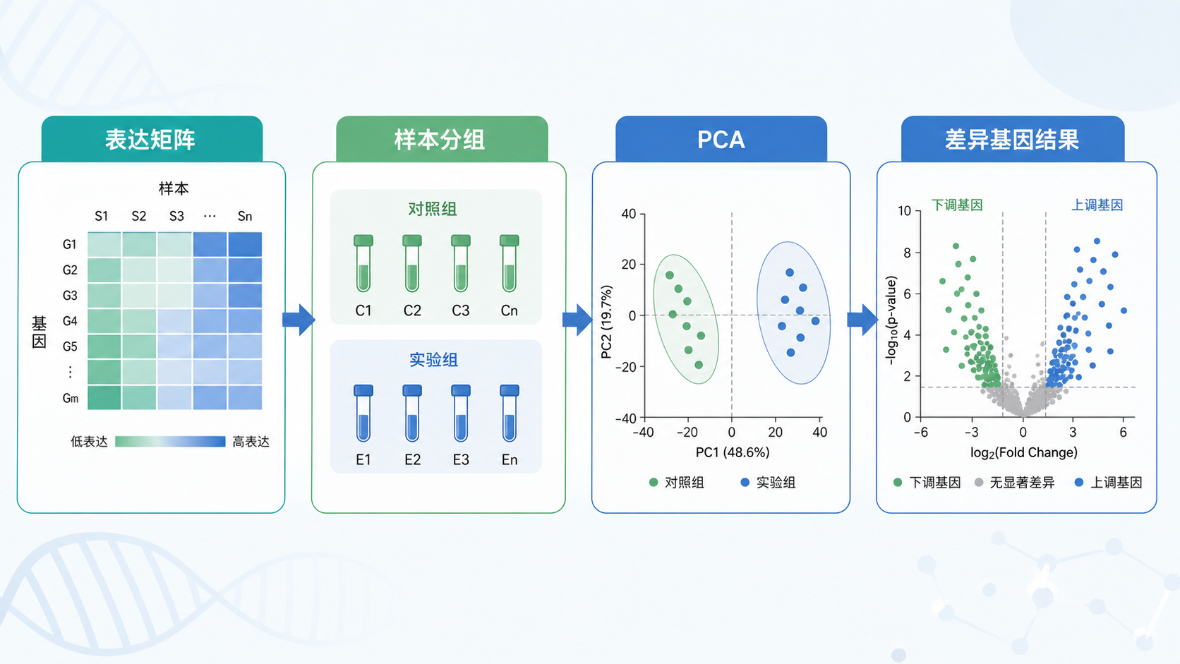 转录组分析流程示意图,包含表达矩阵、样本分组、PCA和差异基因结果四个模块,风格简洁专业