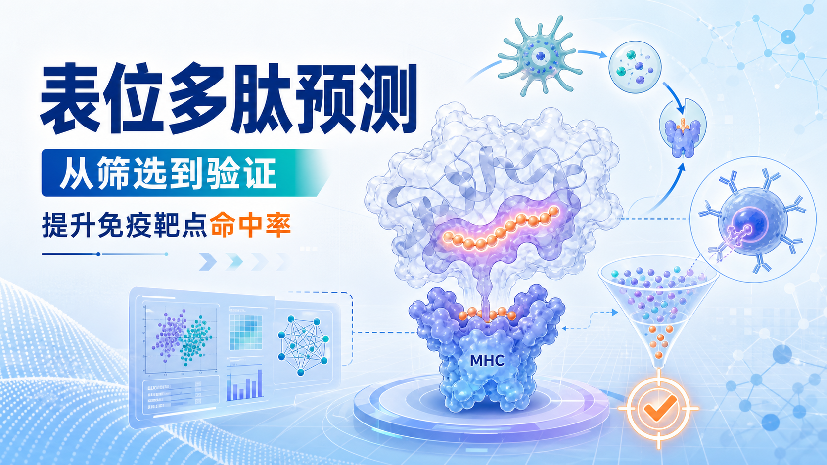 精准锁定免疫靶点:表位多肽预测前沿技术解析