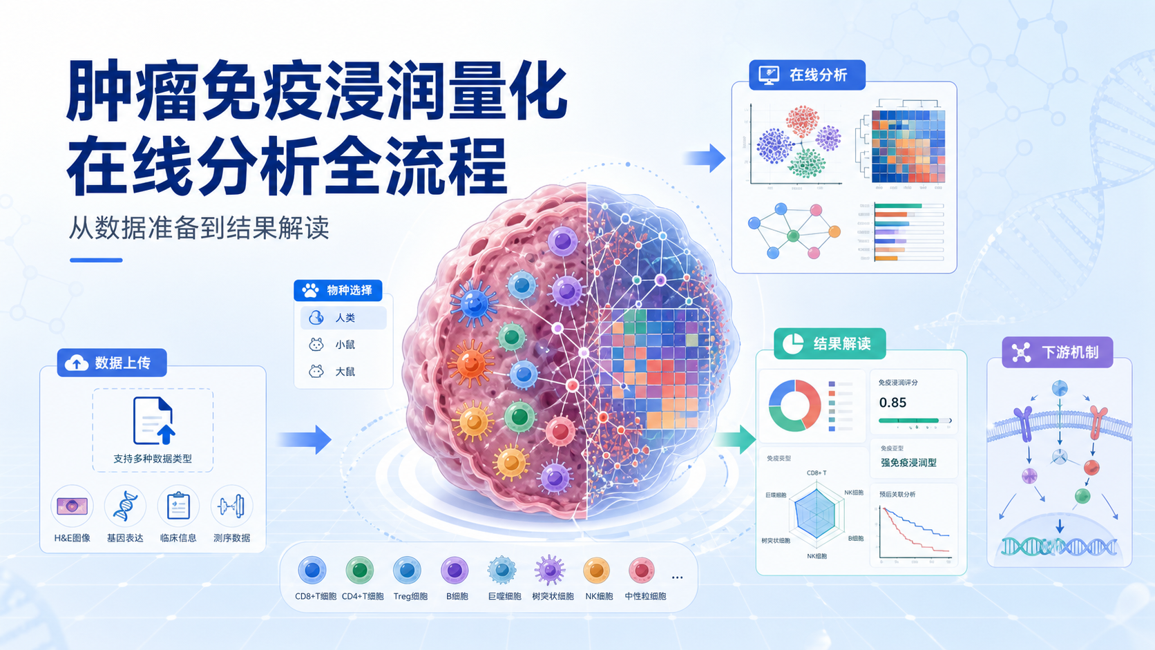 在线免疫浸润量化:从入门到精通,肿瘤微环境分析必备