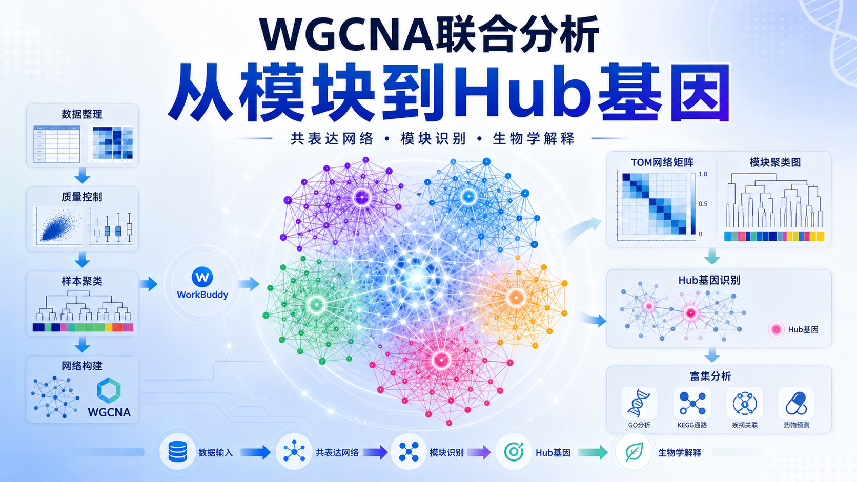 WorkBuddy与WGCNA联合分析构建共表达网络