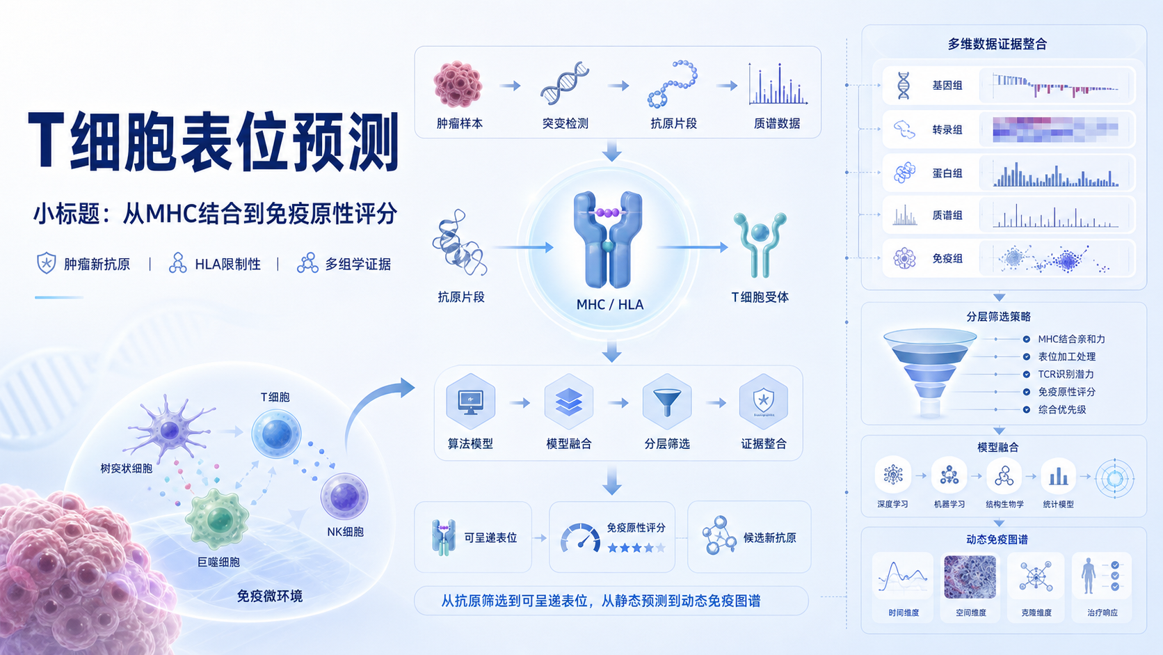 高效T细胞表位预测方法,重塑精准免疫治疗策略