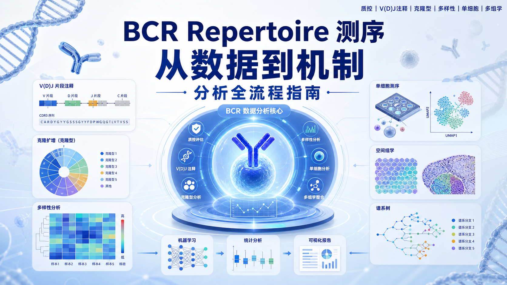 高通量BCR repertoire测序数据分析方法前沿
