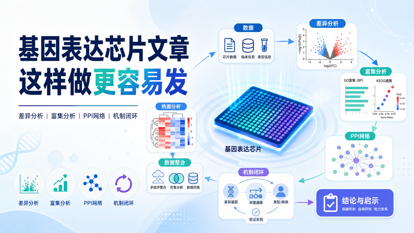 基因表达芯片发文利器：从差异分析到机制探究