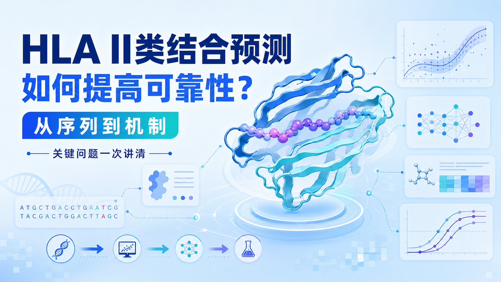 从序列到机制：HLAII类结合预测的深度解析